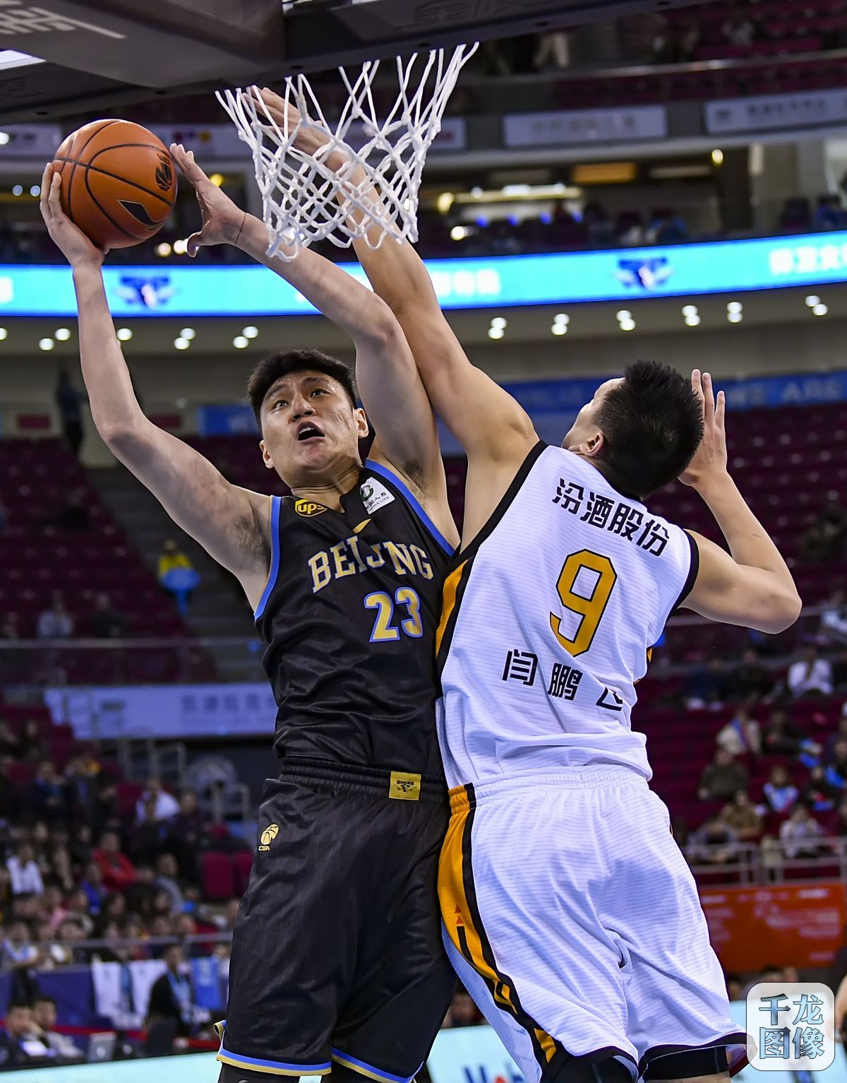 公平赔率应 公平赔率应