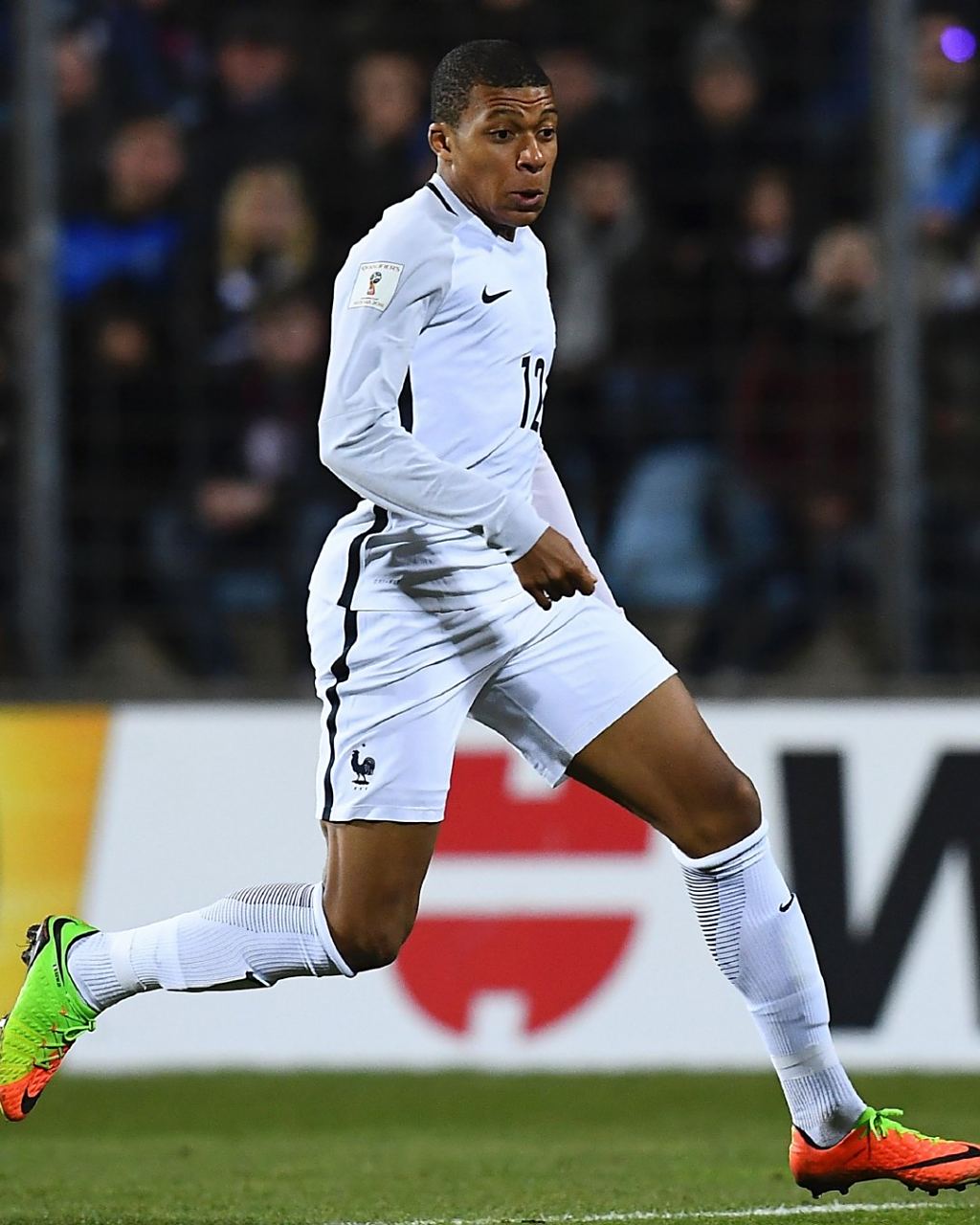 每年都有新 每年都有新